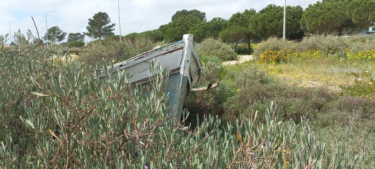 Casa Do Pinheiro - Parque Natural Da Ria Formosa. ตาวิรา ภายนอก รูปภาพ