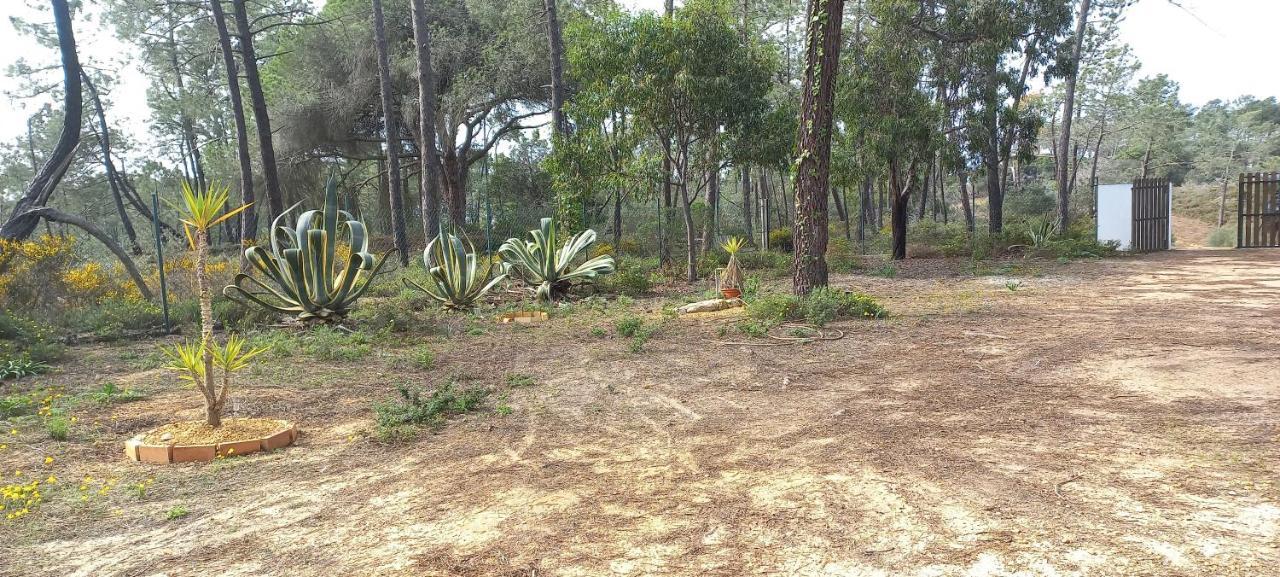 Casa Do Pinheiro - Parque Natural Da Ria Formosa. ตาวิรา ภายนอก รูปภาพ